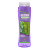 BOTANIC - Shampoo Romero Cola De Caballo - Image 2